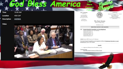 Fani Wills before the Georgia Senate.