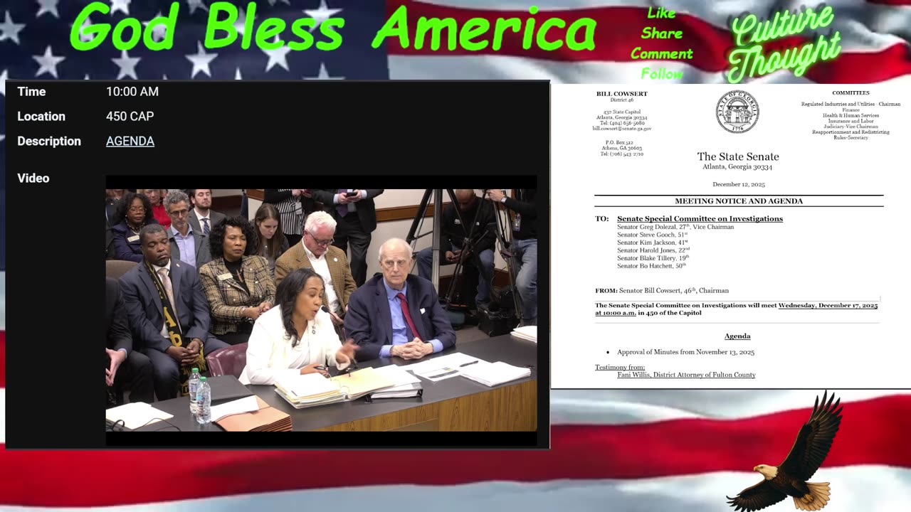 Fani Wills before the Georgia Senate.