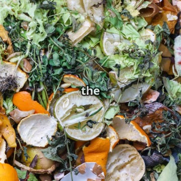 Composting Too Slow Try THIS Trick to Speed It Up 🚀