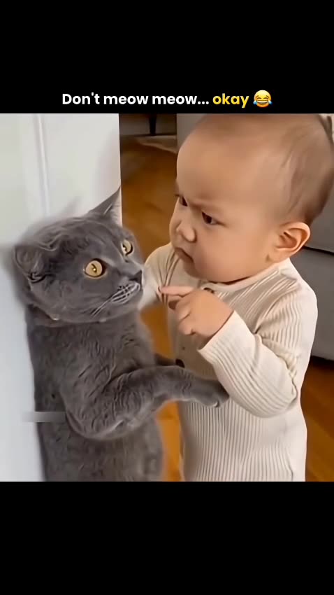 Don't Meow...Meow... Okay 🤐😂
