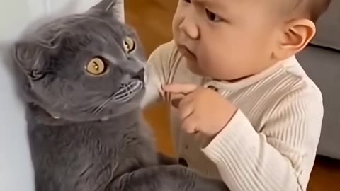 Don't Meow...Meow... Okay 🤐😂