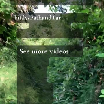 Balance The Burn Out | Path and Tarot Reading