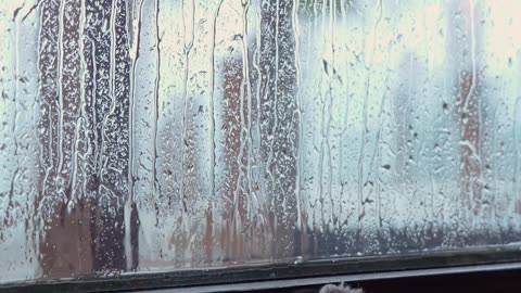 When Rain Hits the Window 🌧️ | Pure Calm & Relaxation