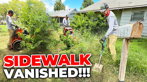 His PRISON SENTENCE left the yard to nature and the sidewalk PAID THE PRICE