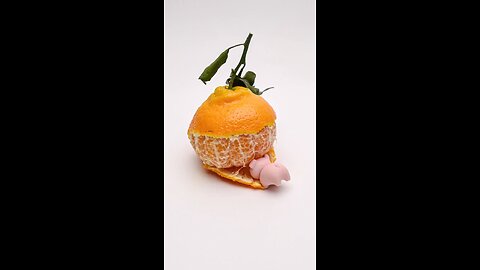 a big eating an orange | an enjoying pig with a big orange