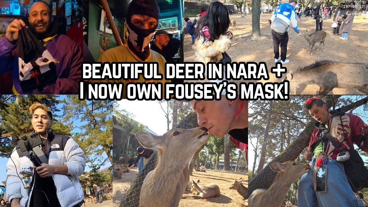 BEAUTIFUL DEER IN NARA + I NOW OWN FOUSEY'S MASK