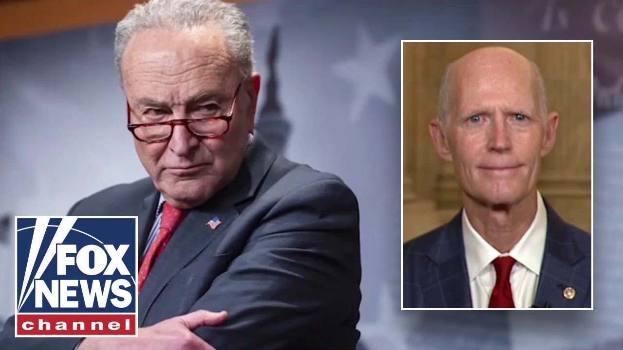 Democrats BLASTED over shutdown: This is all about 'how to hurt Trump'