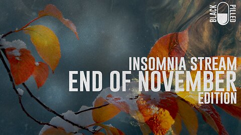 INSOMNIA STREAM: END OF NOVEMBER EDITION