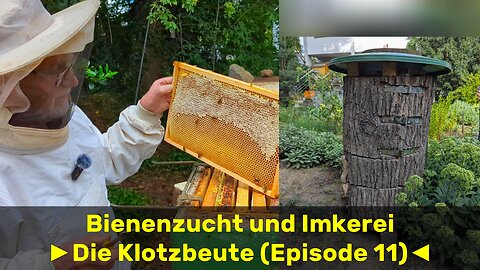 Bienenzucht und Imkerei mit Hartmut [Episode 11] 🇩🇪 (2025-08)