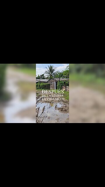 Un Vistazo a la Vida Real en Cuba (Lejos de los Hoteles).