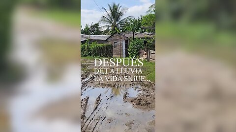 Un Vistazo a la Vida Real en Cuba (Lejos de los Hoteles).