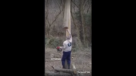 The Tunnell Take I hurt myself today.....