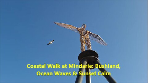 🌅Coastal Walk at Mindarie: Bushland, Ocean Waves & Sunset Calm, Perth Australia.