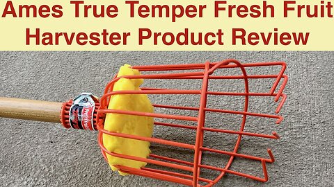 Ames True Temper Fresh Fruit Harvester Product Review