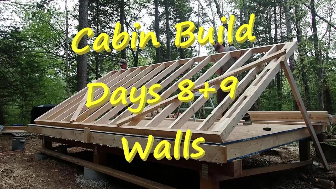 Cabin Build Day 8+9 - Walls - June 2022