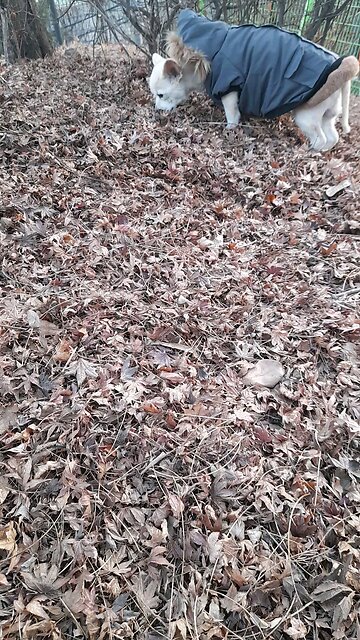 20260125. God made the world.