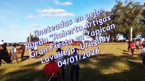 Jineteadas en pelo en el Ruedo Roberto Artigas de Zapicán - Lavalleja, Uruguay 04/01/2026