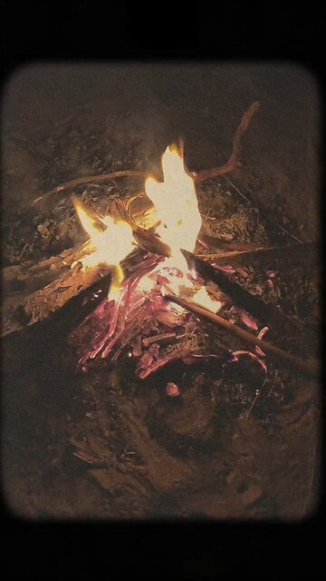 bonfire