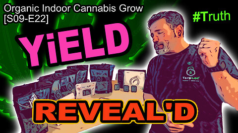 S09 E22 YIELD REPORT – Indoor Cannabis Grow - Full Harvest Report - Bud Weights & Cannabis Closeups