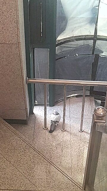 20251226. so cold...