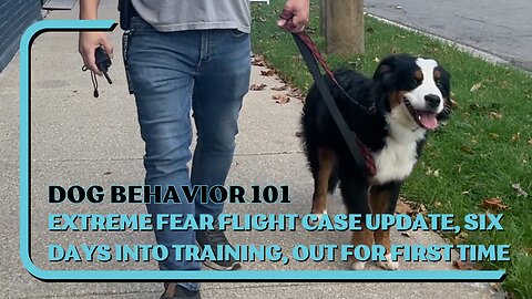 EXTREME Fear Flight Case UPDATE, 6 Days Into 4W B&T, First Walk Outside After Starting Training