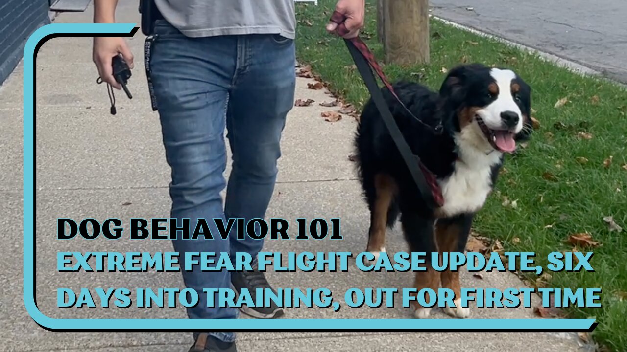 EXTREME Fear Flight Case UPDATE, 6 Days Into 4W B&T, First Walk Outside After Starting Training