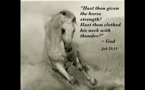 Thus Saith The Lord, I created This Land for Horses