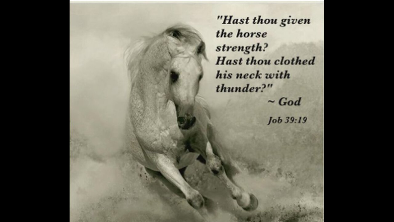 Thus Saith The Lord, I created This Land for Horses