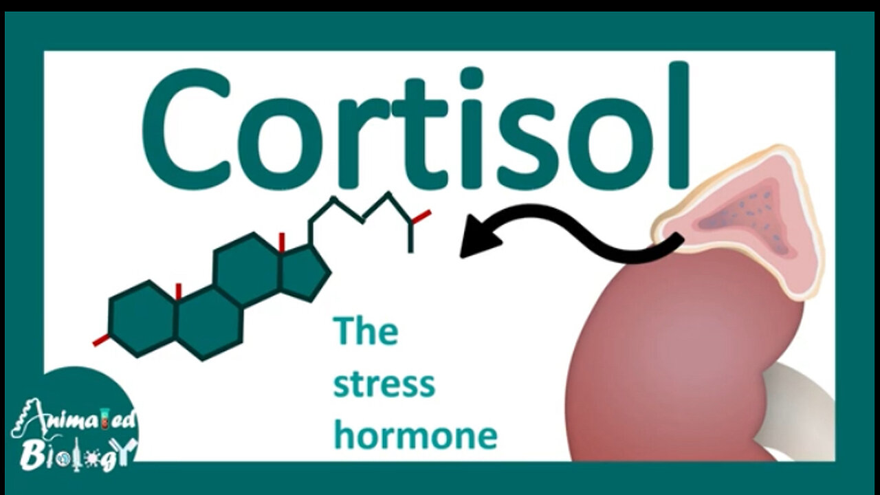 Cortisol | cortisol's effects on body | cortisol: the stress hormone | cortisol as immunosuppressant