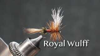 Royal Wulff: a Lee Wulff dry fly pattern