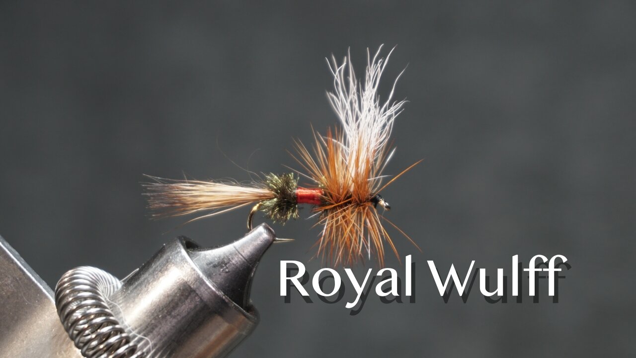 Royal Wulff: a Lee Wulff dry fly pattern