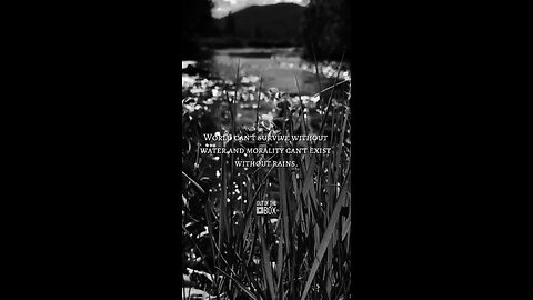 Rain = Life + Morality