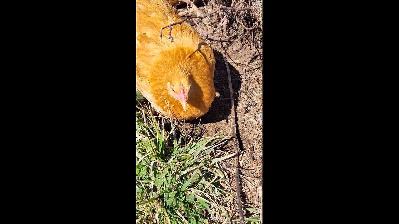 Digging in the dirt!