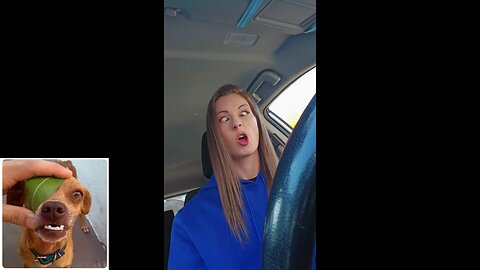 A little bit of everything series (episode 1: Talent)