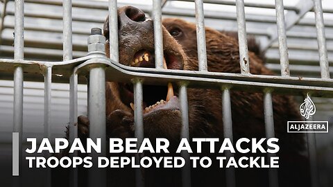 Japan deploys troops to northern mountains to tackle wave of deadly bear attacks
