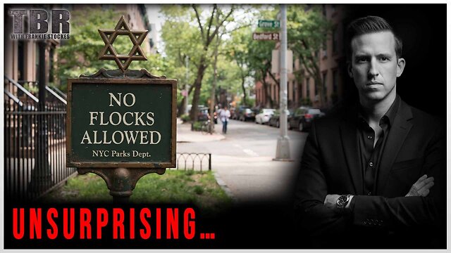 THE BASED REPORT: The NYC SettlementsCuriously Void of FLOCK Systems thumbnail