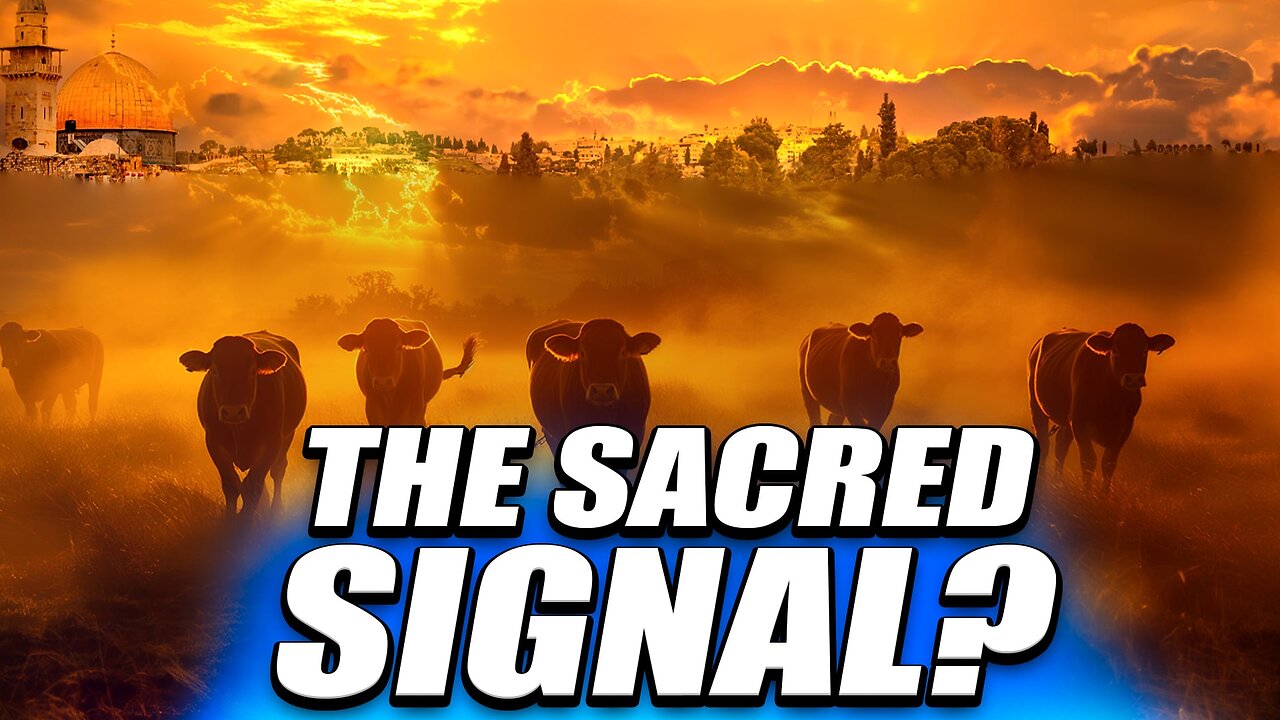 The Red Heifers What Happened on July 1? - Ep. 7175