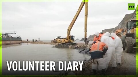 Cleaning up coastline and saving birds: Volunteers work hard to eliminate oil spill