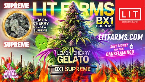 Blazing Up Lemon Cherry Gelato BX1 Supreme from Lit Farms! Dankin with the Flamingos Review!!