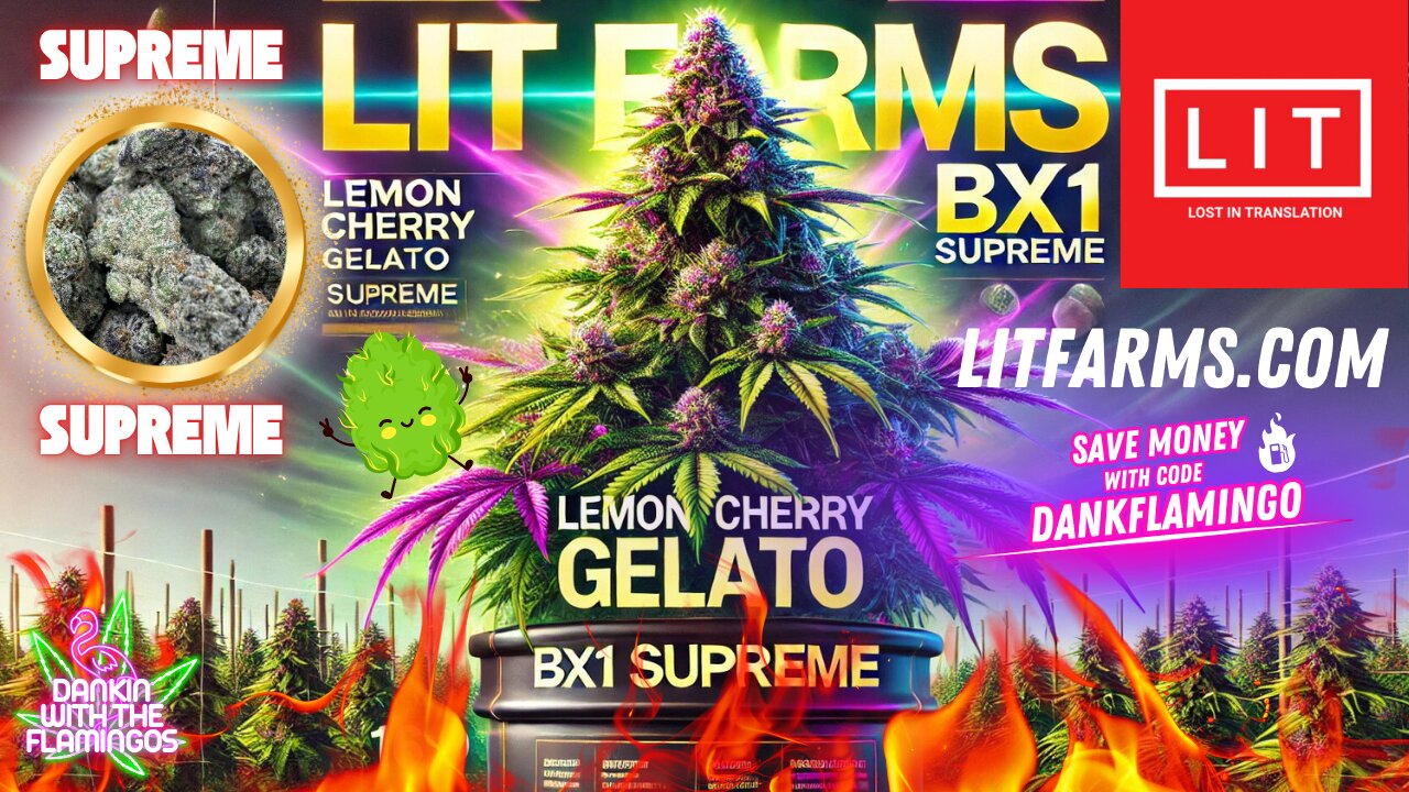 Blazing Up Lemon Cherry Gelato BX1 Supreme from Lit Farms! Dankin with the Flamingos Review!!