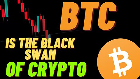 Bitcoin Is The Black Swan