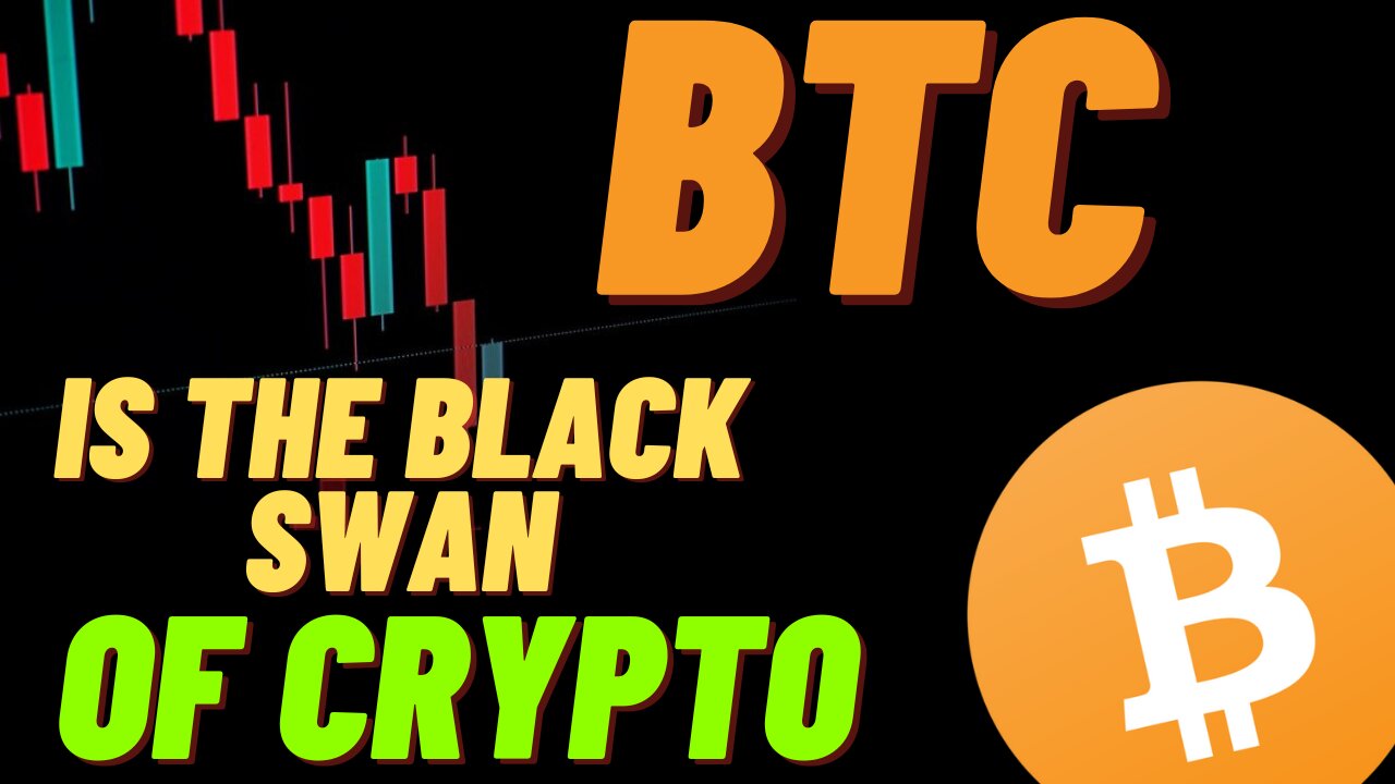 Bitcoin Is The Black Swan