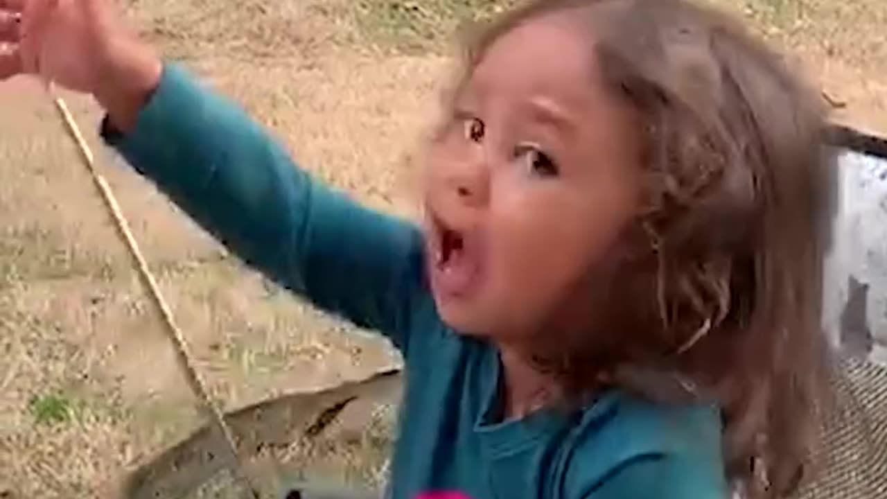 Funny new animal video at rumble