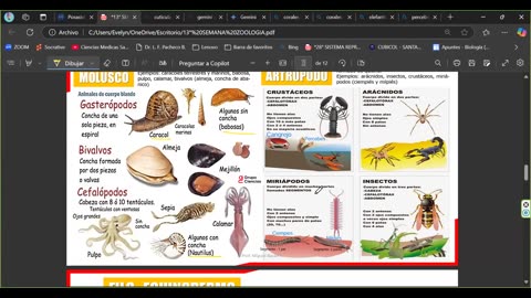 GRUPO CIENCIAS REPASO 2025 - 2 | Semana 05 | Biología