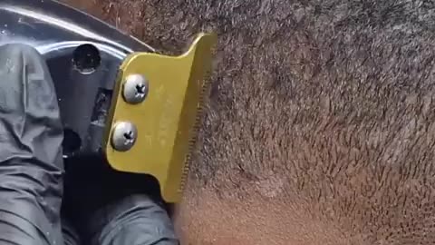 Amazing: One of The Craziest Haircut Transformation Ever✂️💈
