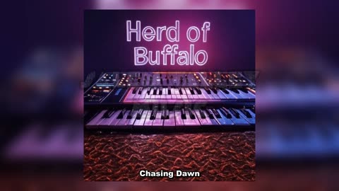 Herd of Buffalo - Chasing Dawn