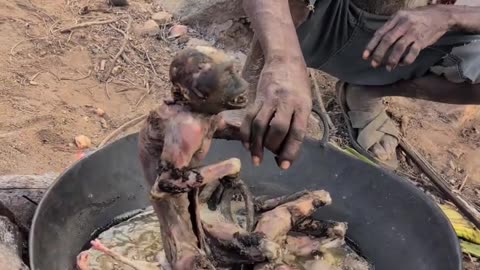 Hadzabe Tribe Old Man Cooking The Monkey After success Hunting