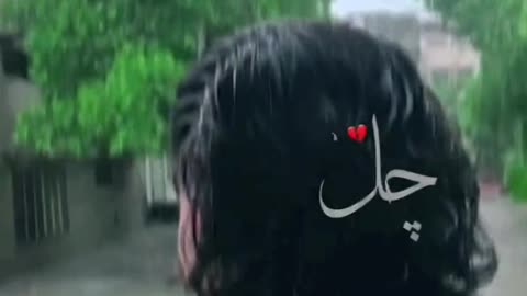 NFAK 🇦🇪
