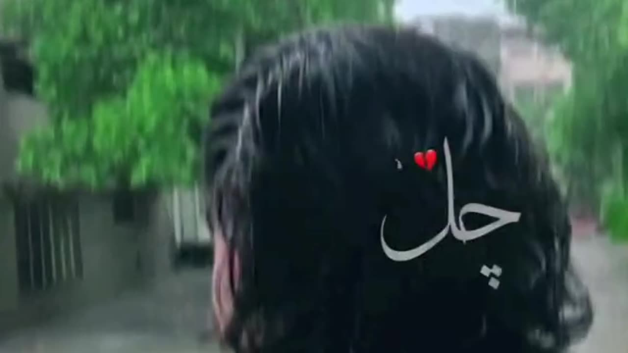 NFAK 🇦🇪