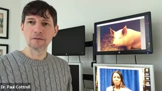 Letitia James is Squealer the Pig on Animal Farm by Dr. Paul Cottrell